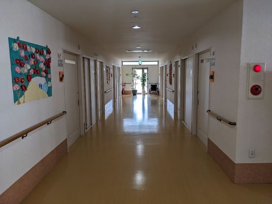 明るい廊下と掲示物