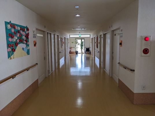 明るい廊下と掲示物