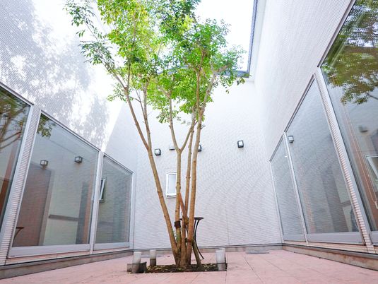中庭の手入れ風景
