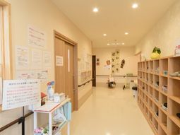 廊下の明るい情景