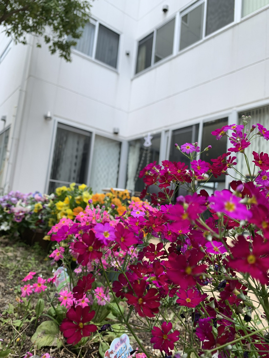 色とりどりの花が並ぶ庭