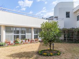 明るい庭の様子