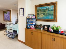 廊下の明るい装飾