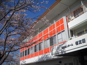 桜と建物の外観  