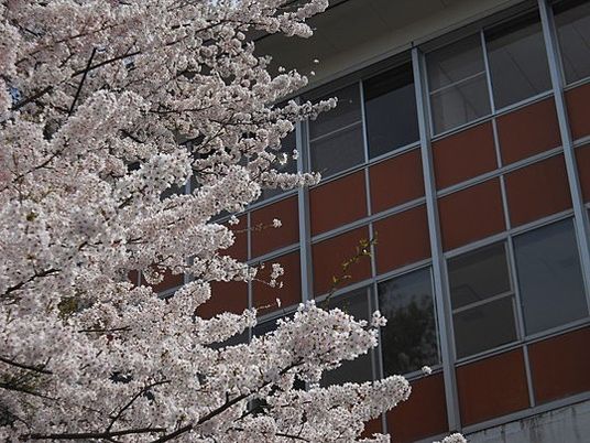 桜と建物外観  