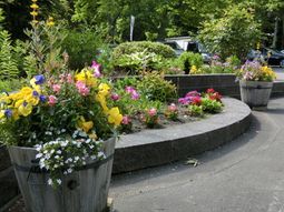 色とりどりの花が咲く庭