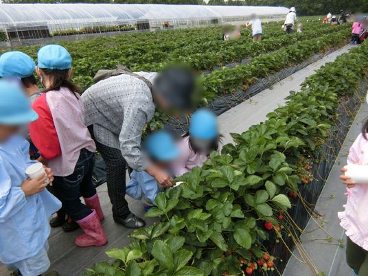 スタッフと利用者の交流