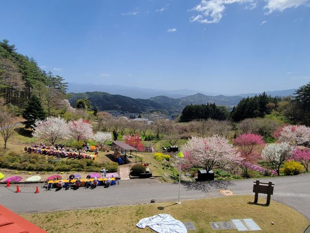 春の花々が美しい庭 庭 広がる緑と色とりどりの花たちが広がる、見晴らしの良い庭です。青空の下で穏やかな時間を過ごせます。