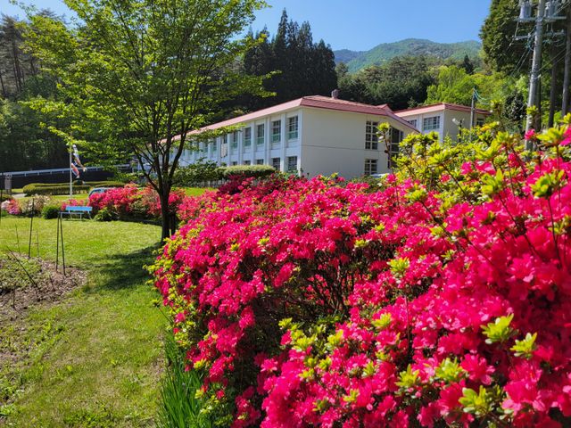 色鮮やかな庭 庭 色鮮やかな花々が咲き誇る庭では、自然豊かでリフレッシュできる環境が感じられます。