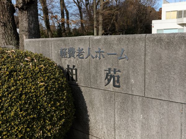 緑に囲まれた看板