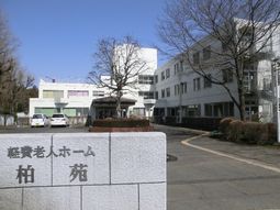 白と緑の建物エントランス