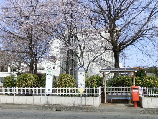 桜と施設の入口