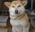 犬が座るエントランス