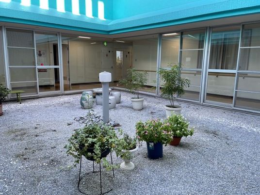 緑と花の中庭
