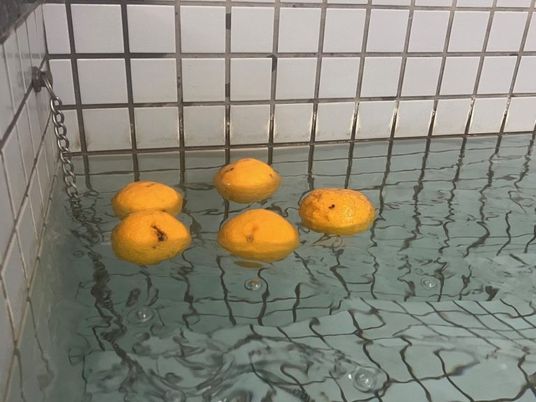 柚子が浮かぶ浴槽  