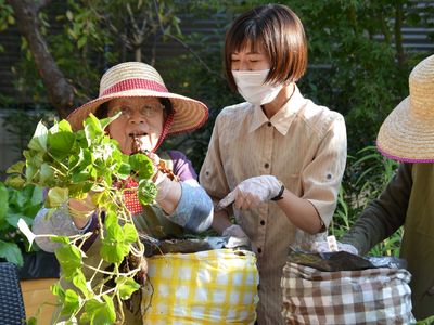 園芸活動を楽しむ人々