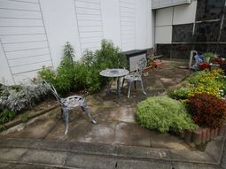 中庭の植物と家具