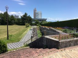 緑豊かな中庭の風景