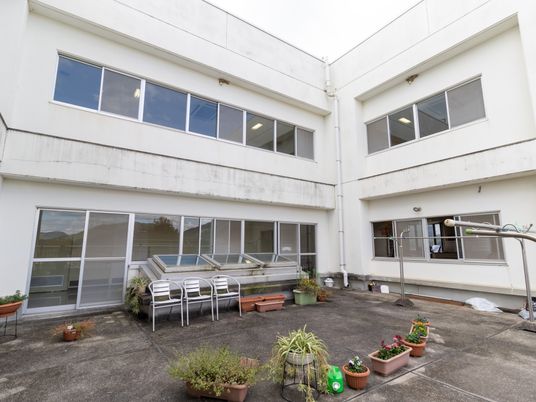 中庭の植物とベンチ