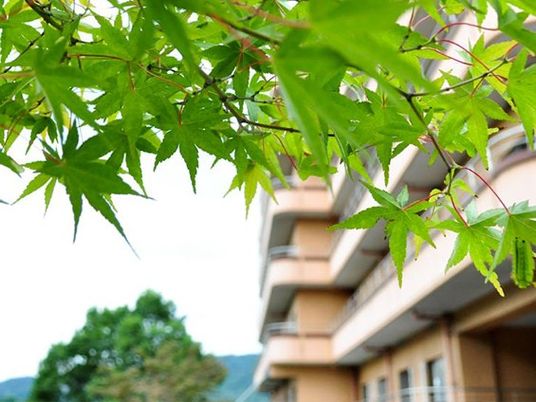 紅葉の見える外観  