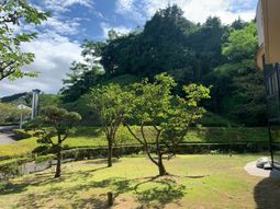 緑豊かな庭  