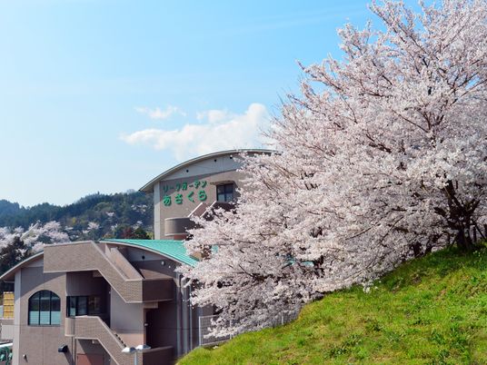 春の桜と施設外観