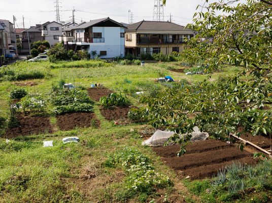 庭の手入れされた畑