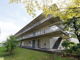 緑に囲まれた建物の外観
