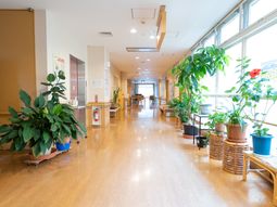 廊下に観葉植物が並ぶ場所