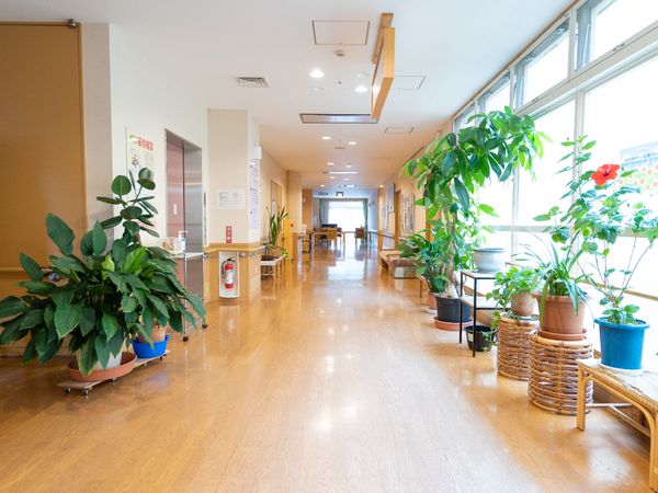廊下に観葉植物が並ぶ場所