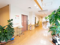 明るい廊下と植物