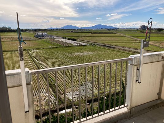 広々とした田園の眺望
