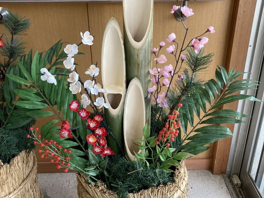 エントランスの観葉植物