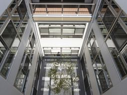 光が降り注ぐ中庭