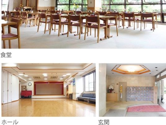 明るい食堂の並ぶ椅子  