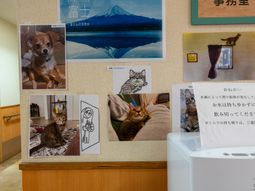 動物の写真と掲示物