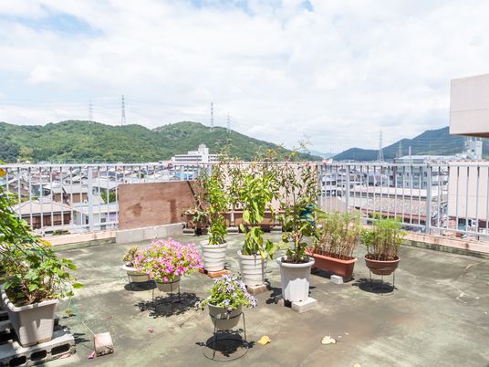 緑豊かな屋上空間