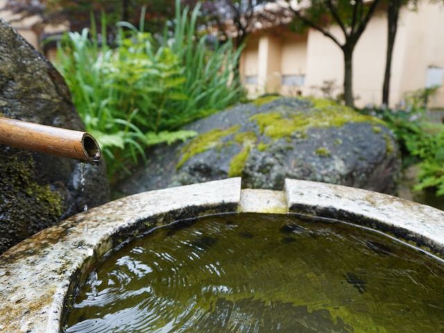 和風な庭のしっとりとした景色 庭 石と水の調和が心を落ち着かせる、美しい日本庭園です。自然の風合い溢れる環境でゆったりと時を過ごせます。