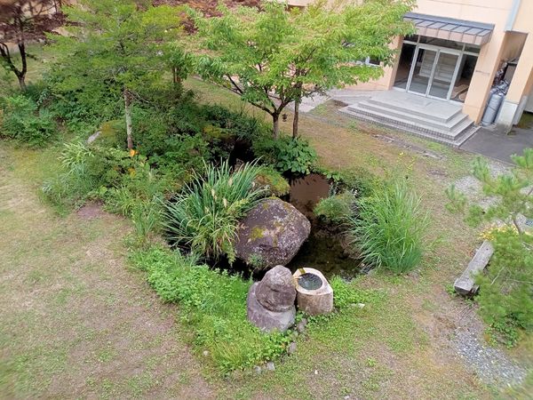 緑豊かな中庭