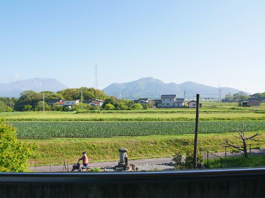 緑豊かな景観と利用者
