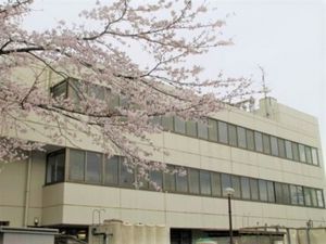 桜並木と建物の外観