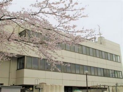 桜並木と建物の外観