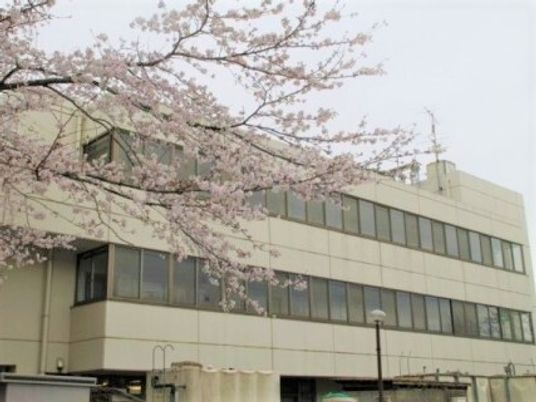 桜並木と建物の外観