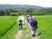 田園での散策風景