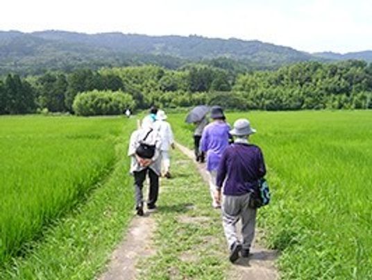 田園での散策風景