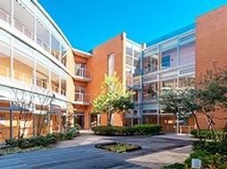 快適な中庭の景観