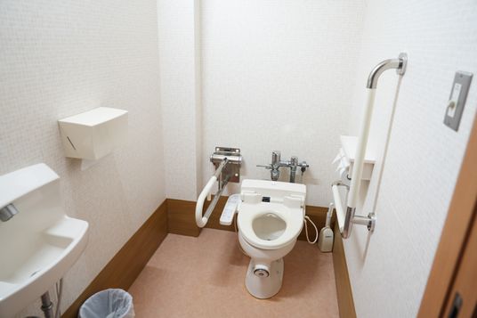 手すり付きトイレの室内