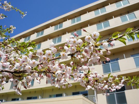 桜と施設の外観