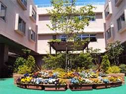 中庭に花壇のある景観