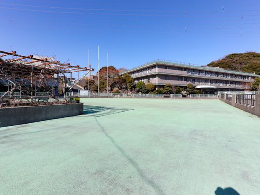 緑豊かな外観